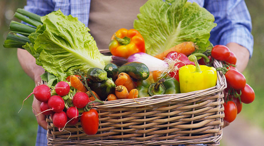 Paniers de Fruits et Légumes Bio -- Panier famille